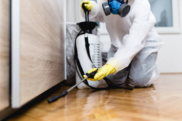 Best Wasp Removal Services  in Brookville, IN