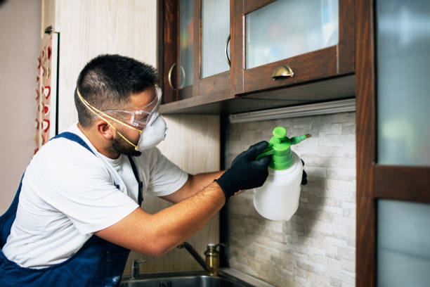 Flea Control Services in Brookville, IN