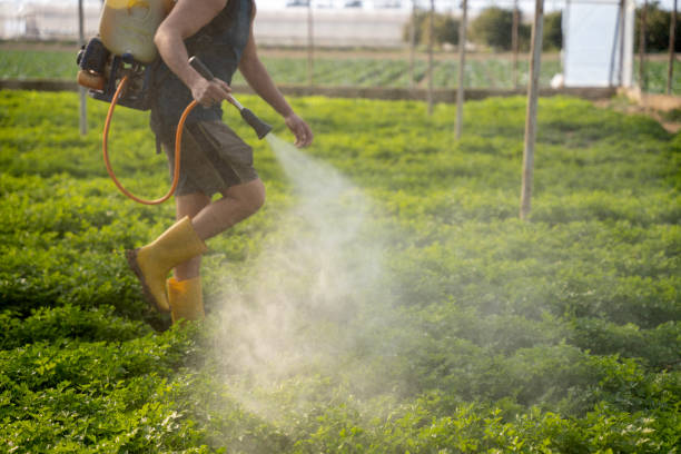 Reliable Brookville, IN Pest Control Solutions