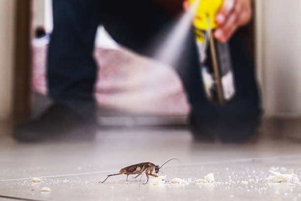 Best Pest Removal Services  in Brookville, IN