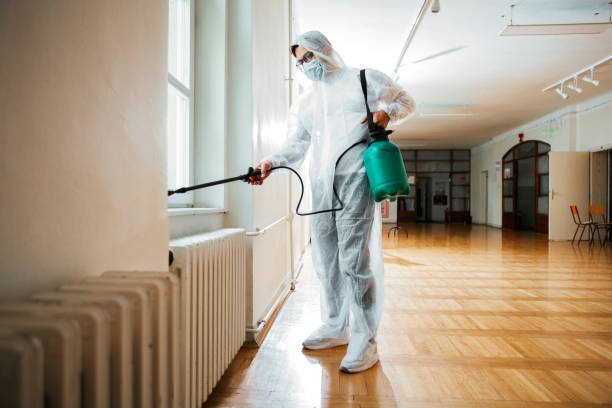 Best Affordable Pest Control Services  in Brookville, IN
