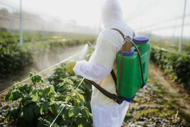 Best Pest Control for Restaurants  in Brookville, IN
